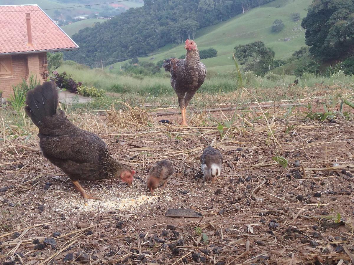 Reobote Chales São Bento do Sapucaí Zewnętrze zdjęcie